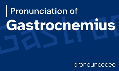 how to pronounce gastrocnemius feature image
