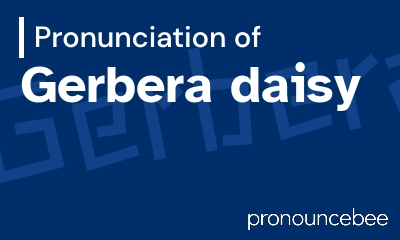 how to pronounce gerbera-daisy feature image