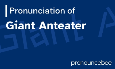 how to pronounce giant-anteater feature image