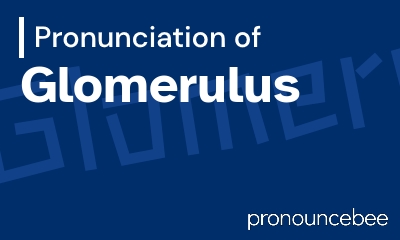 how to pronounce glomerulus feature image