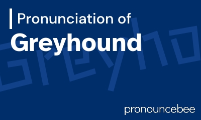 how to pronounce greyhound feature image