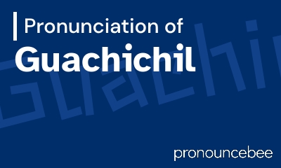 how to pronounce guachichil feature image