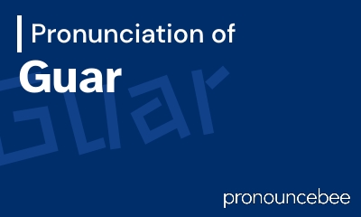 how to pronounce guar feature image