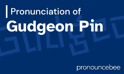 how to pronounce gudgeon-pin feature image