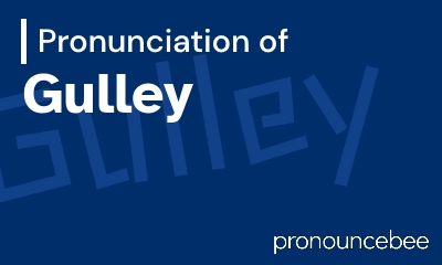 how to pronounce gulley feature image