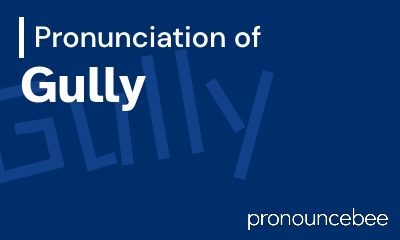 how to pronounce gully feature image