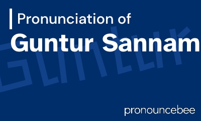 how to pronounce guntur-sannam feature image