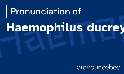 how to pronounce haemophilus-ducreyi feature image