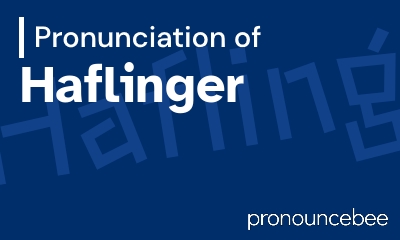 how to pronounce haflinger feature image
