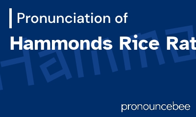 how to pronounce hammonds-rice-rat feature image