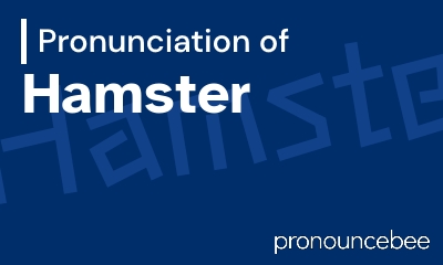 how to pronounce hamster feature image