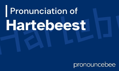 how to pronounce hartebeest feature image