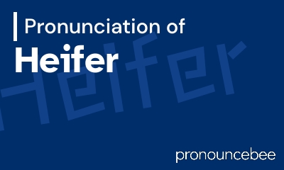 how to pronounce heifer feature image