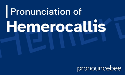 how to pronounce hemerocallis feature image