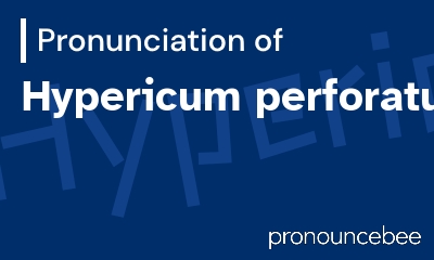 how to pronounce hypericum-perforatum feature image