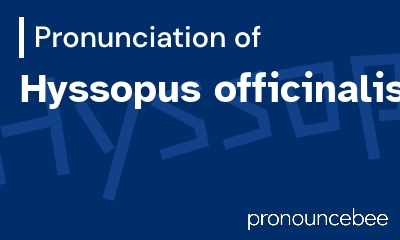 how to pronounce hyssopus-officinalis feature image