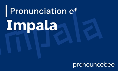 how to pronounce impala feature image