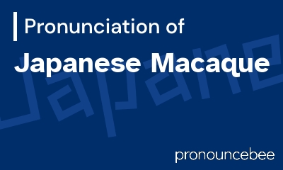 how to pronounce japanese-macaque feature image