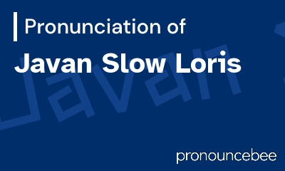 how to pronounce javan-slow-loris feature image