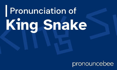 how to pronounce king-snake feature image