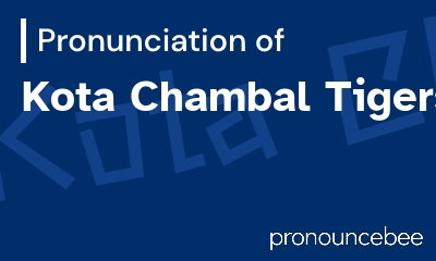how to pronounce kota-chambal-tigers feature image
