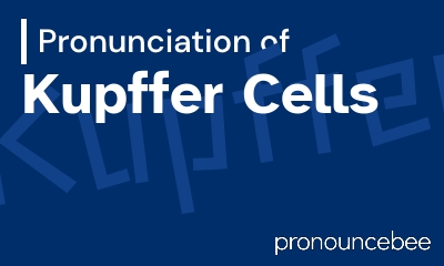 how to pronounce kupffer-cells feature image