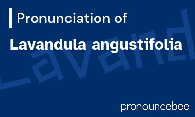 how to pronounce lavandula-angustifolia feature image