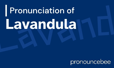 how to pronounce lavandula feature image