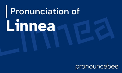 how to pronounce linnea feature image