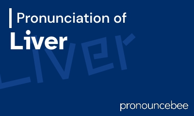 how to pronounce liver feature image