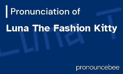 how to pronounce luna-the-fashion-kitty feature image