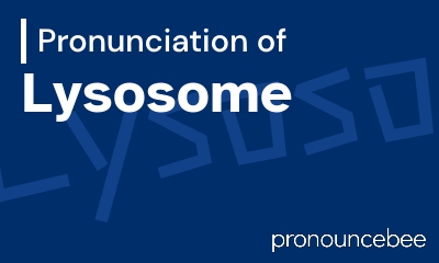 how to pronounce lysosome feature image