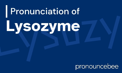 how to pronounce lysozyme feature image