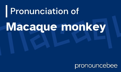 how to pronounce macaque-monkey feature image