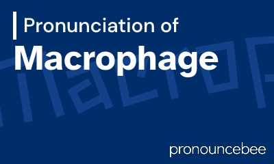 how to pronounce macrophage feature image