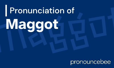 how to pronounce maggot feature image
