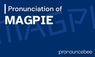 how to pronounce magpie feature image