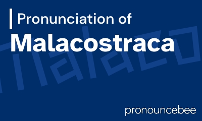 how to pronounce malacostraca feature image