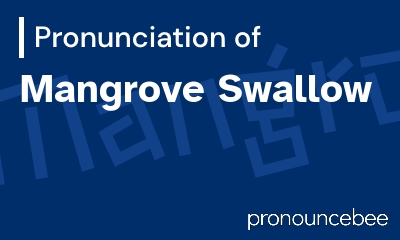how to pronounce mangrove-swallow feature image
