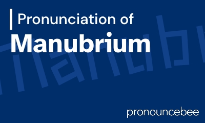 how to pronounce manubrium feature image