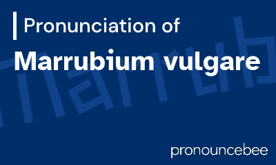 how to pronounce marrubium-vulgare feature image