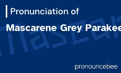 how to pronounce mascarene-grey-parakeet feature image