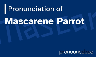 how to pronounce mascarene-parrot feature image