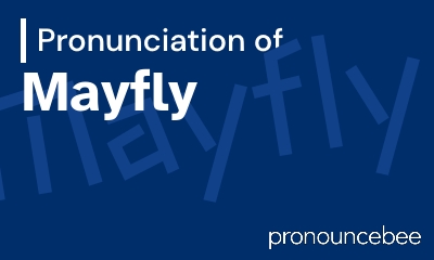 how to pronounce mayfly feature image