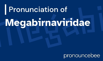 how to pronounce megabirnaviridae feature image