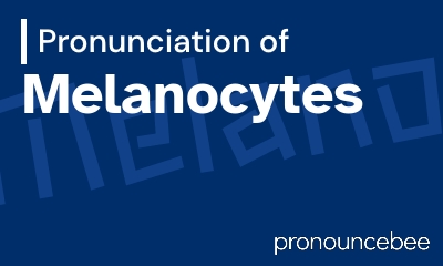 how to pronounce melanocytes feature image