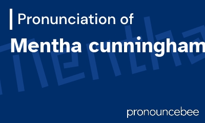 how to pronounce mentha-cunninghamii feature image
