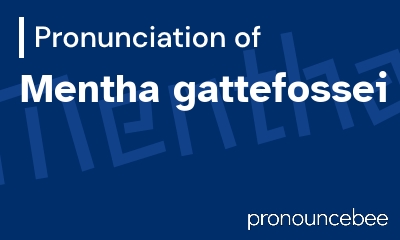 how to pronounce mentha-gattefossei feature image