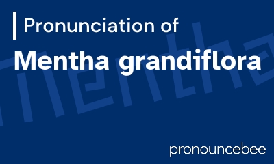 how to pronounce mentha-grandiflora feature image