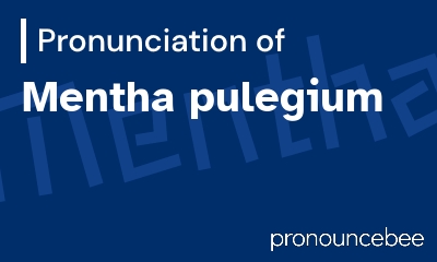 how to pronounce mentha-pulegium feature image